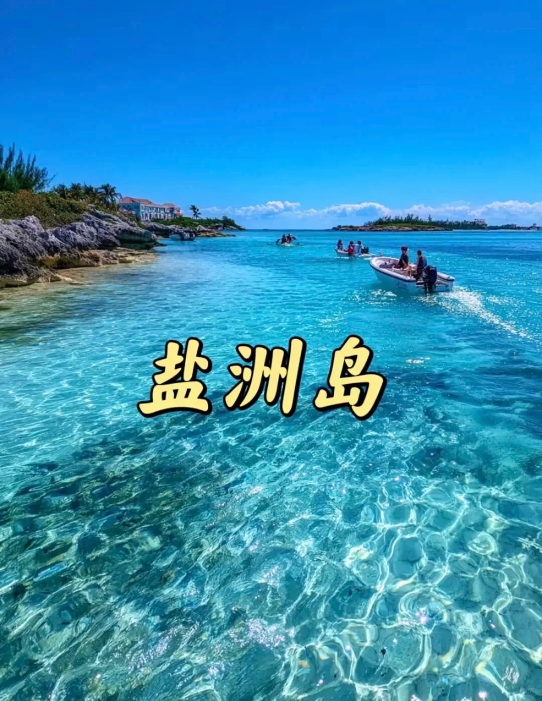 1767601803042_21a48jbw