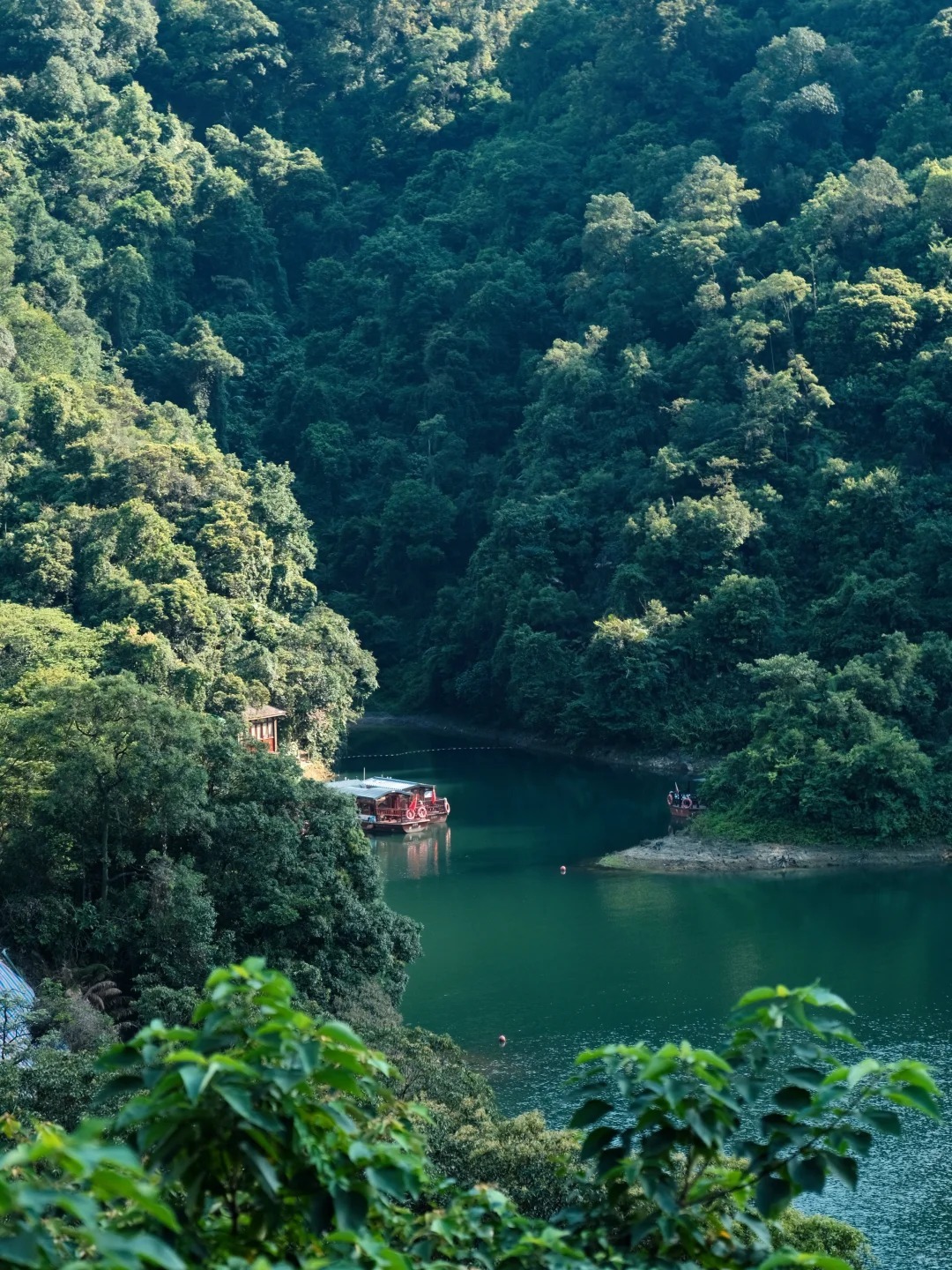 1767601803043_17mBKP3y