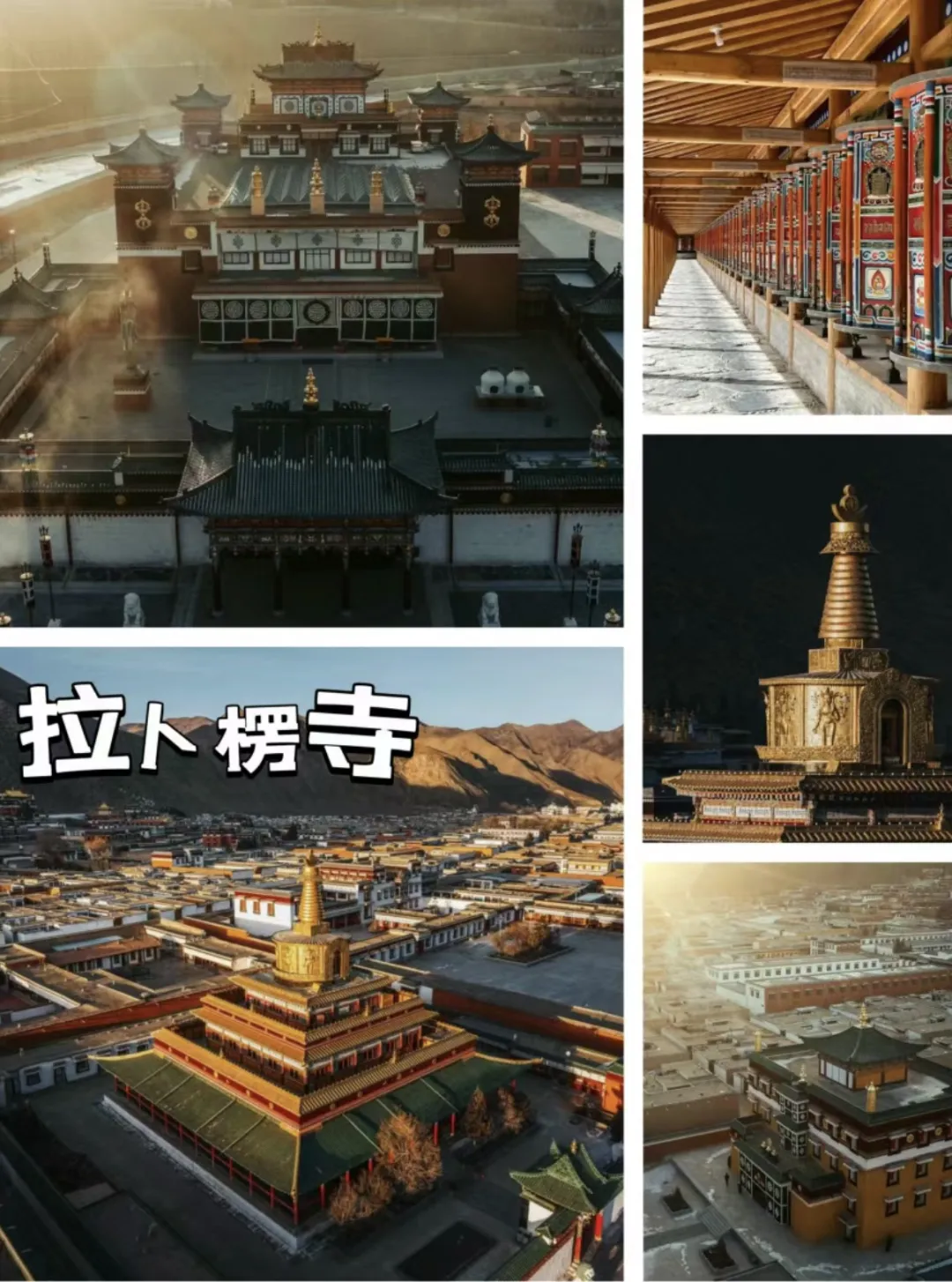 1769411569095_44SNbhT3