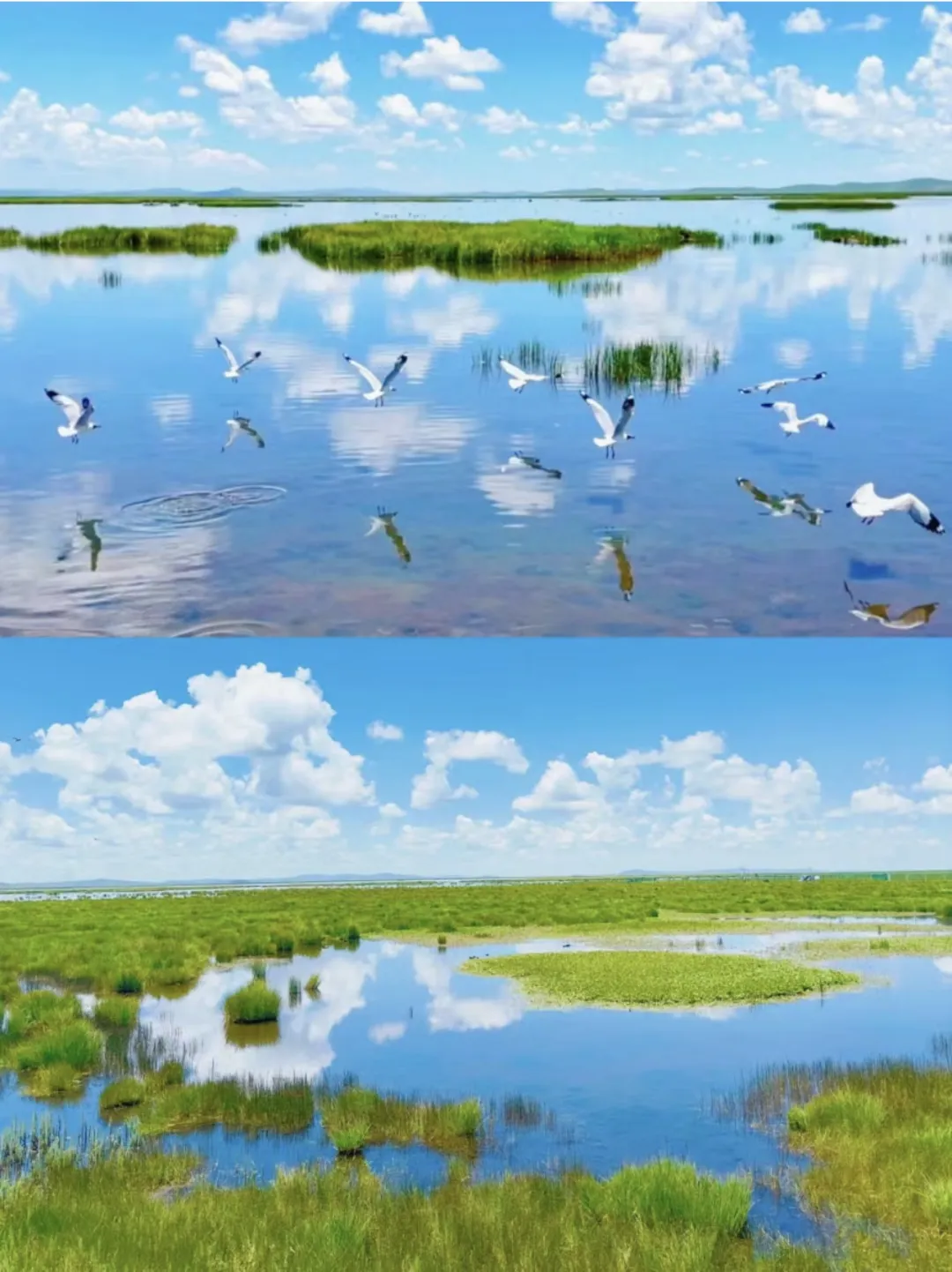 1769411569096_43pMffWf