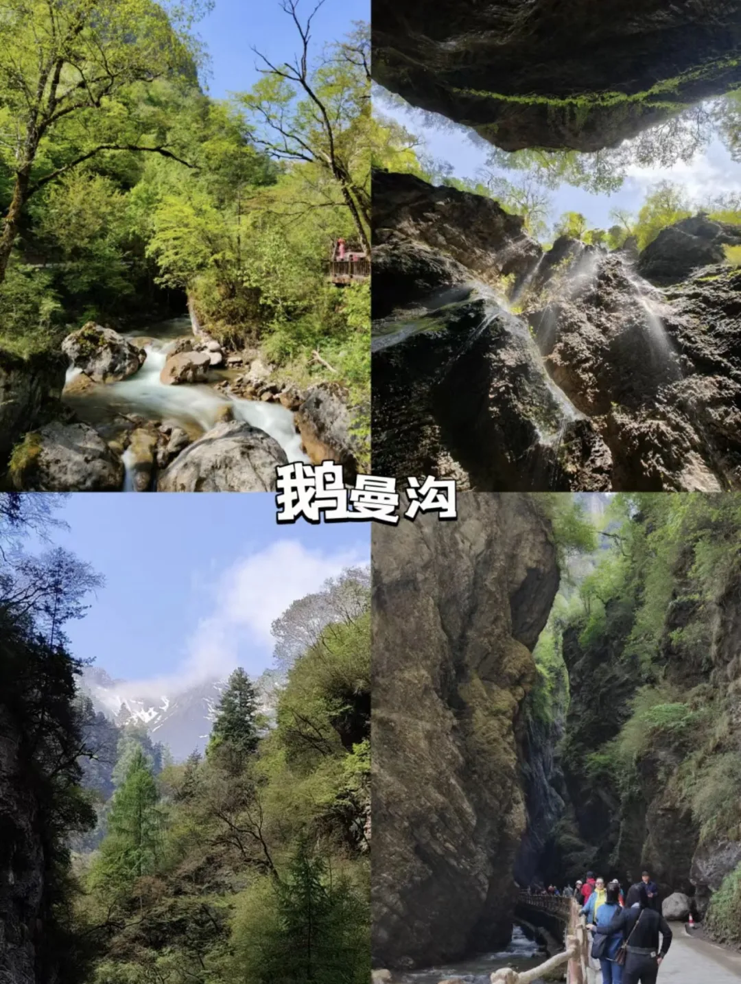 1769411569097_40QN2xf7