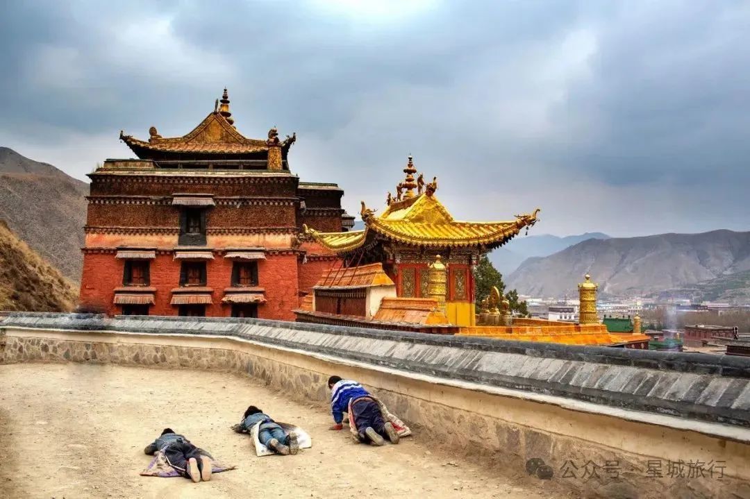 1769411569108_17GRiG4p