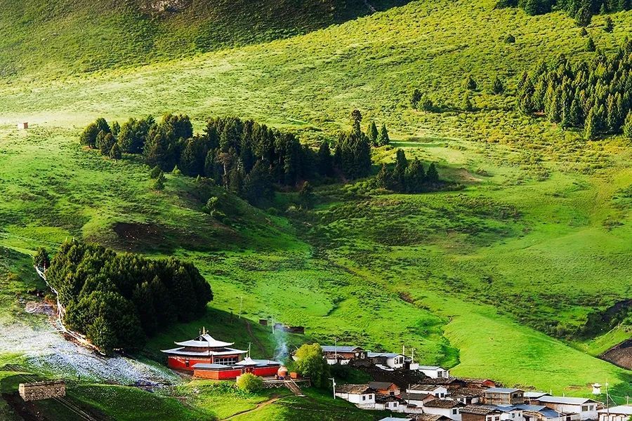 1769411569110_7aAWSMY