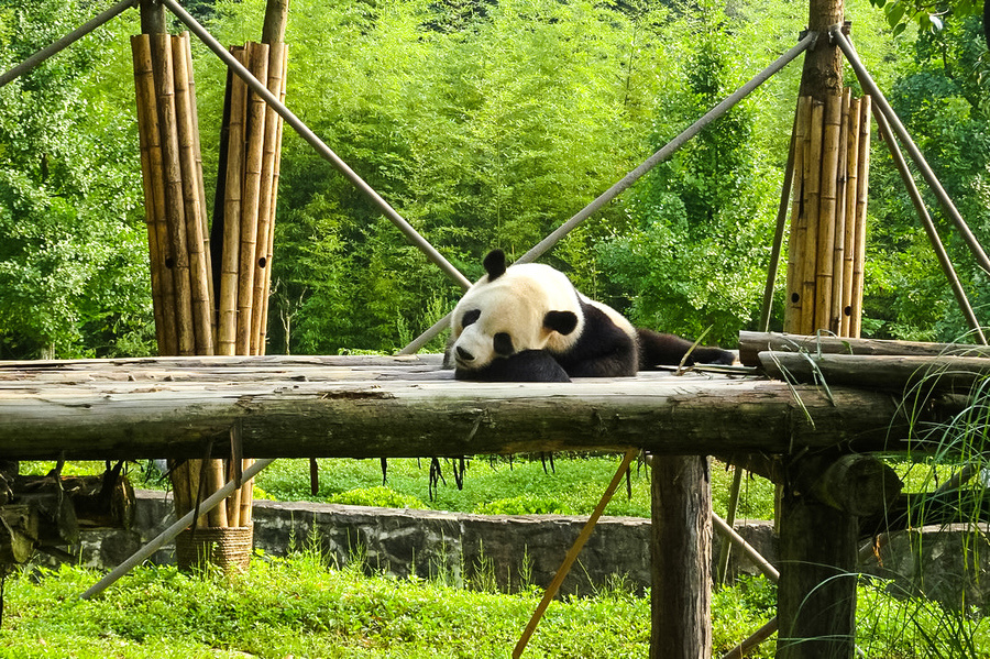 1769577051321_38te7rBJ 1769577051321_38te7rBJ