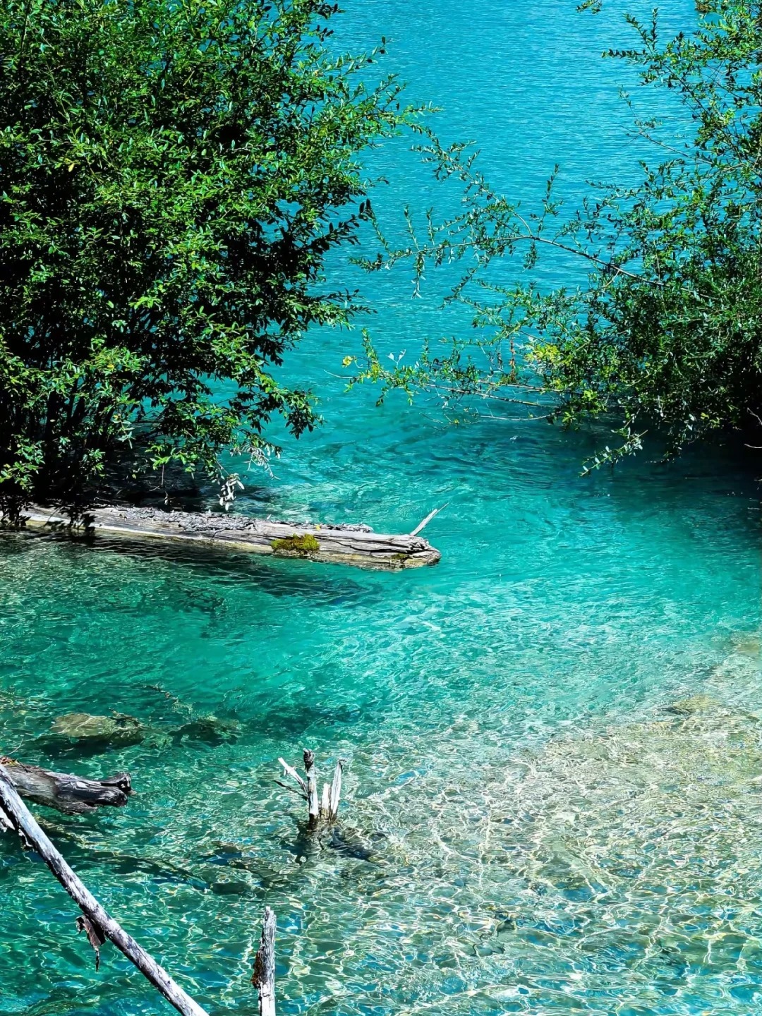 1769577051323_31HYS64w 1769577051323_31HYS64w