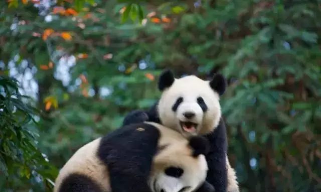 1769577051323_32Mn8FWK 1769577051323_32Mn8FWK