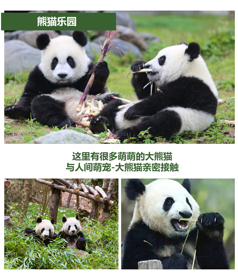 1769577051323_33Er6Rzn 1769577051323_33Er6Rzn