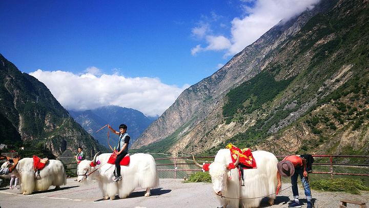 1769577051328_12StNmJk 1769577051328_12StNmJk