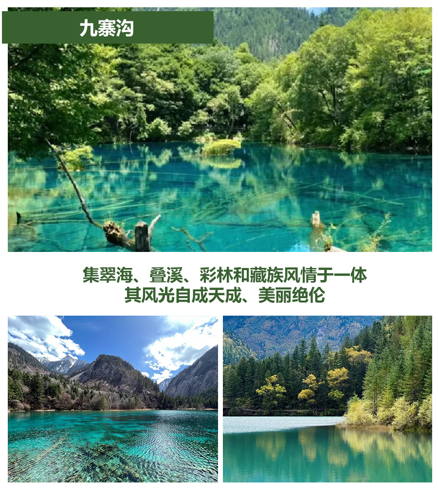 1769577051332_426wX8r 1769577051332_426wX8r