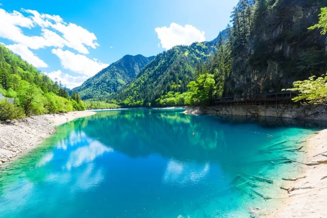 1769577051332_6cPPSP2 1769577051332_6cPPSP2