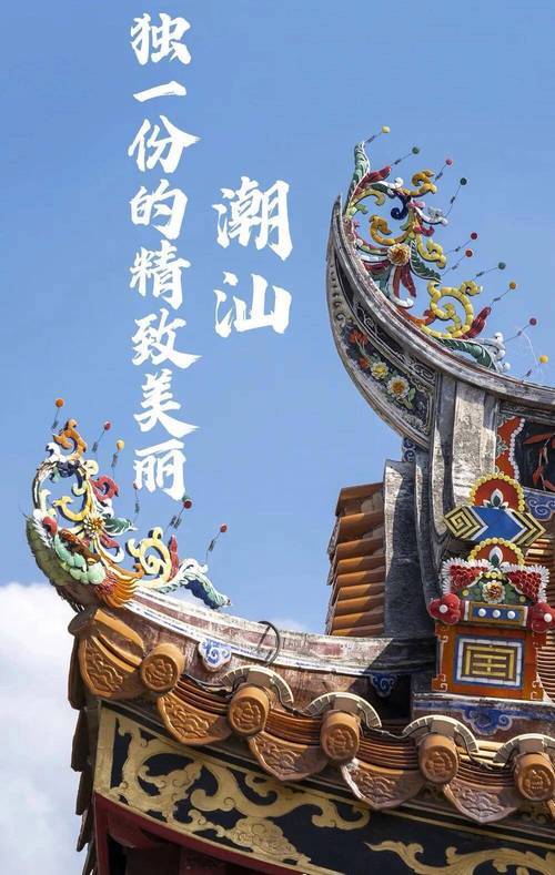 1769668866238_19y2hDN5 1769668866238_19y2hDN5