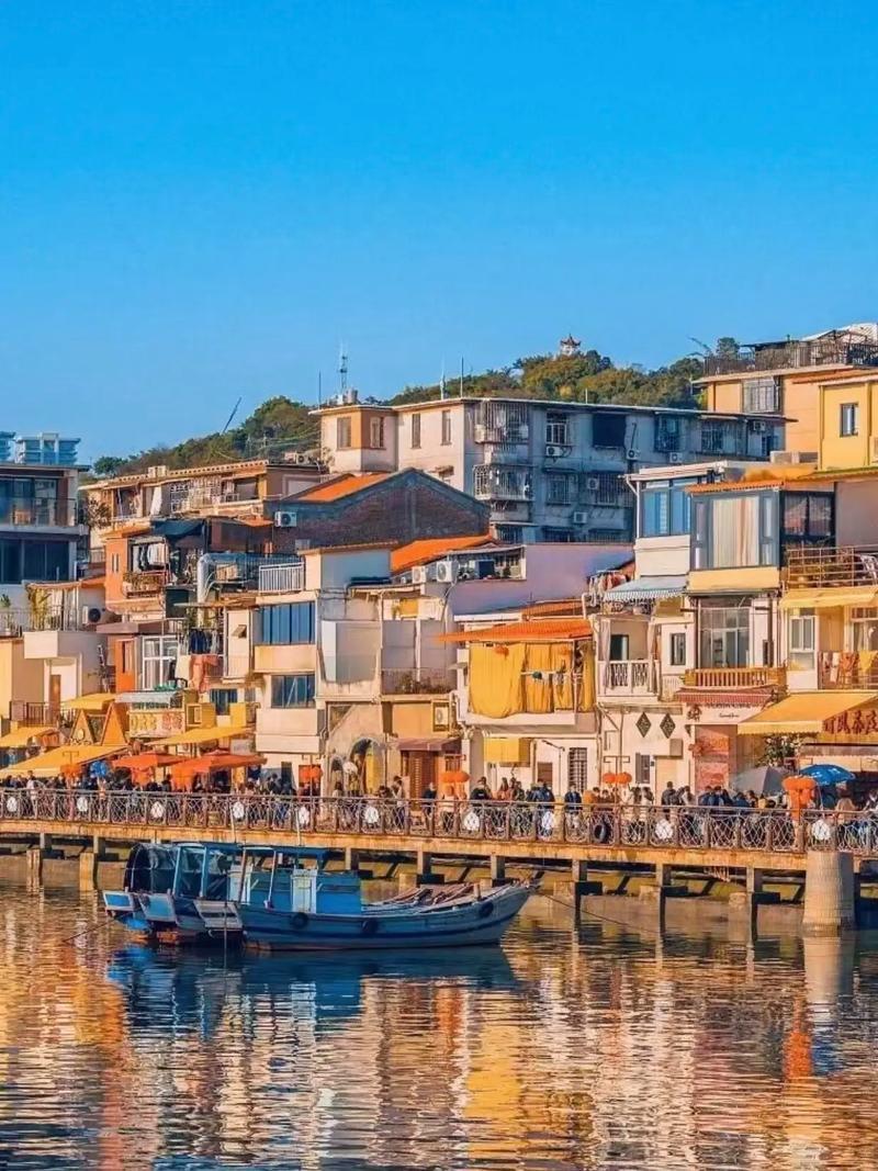 1769668866242_7t2nA6k 1769668866242_7t2nA6k