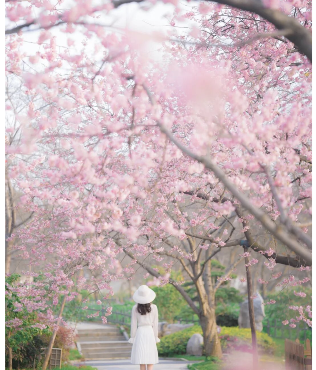 1769753536963_513RnhxD