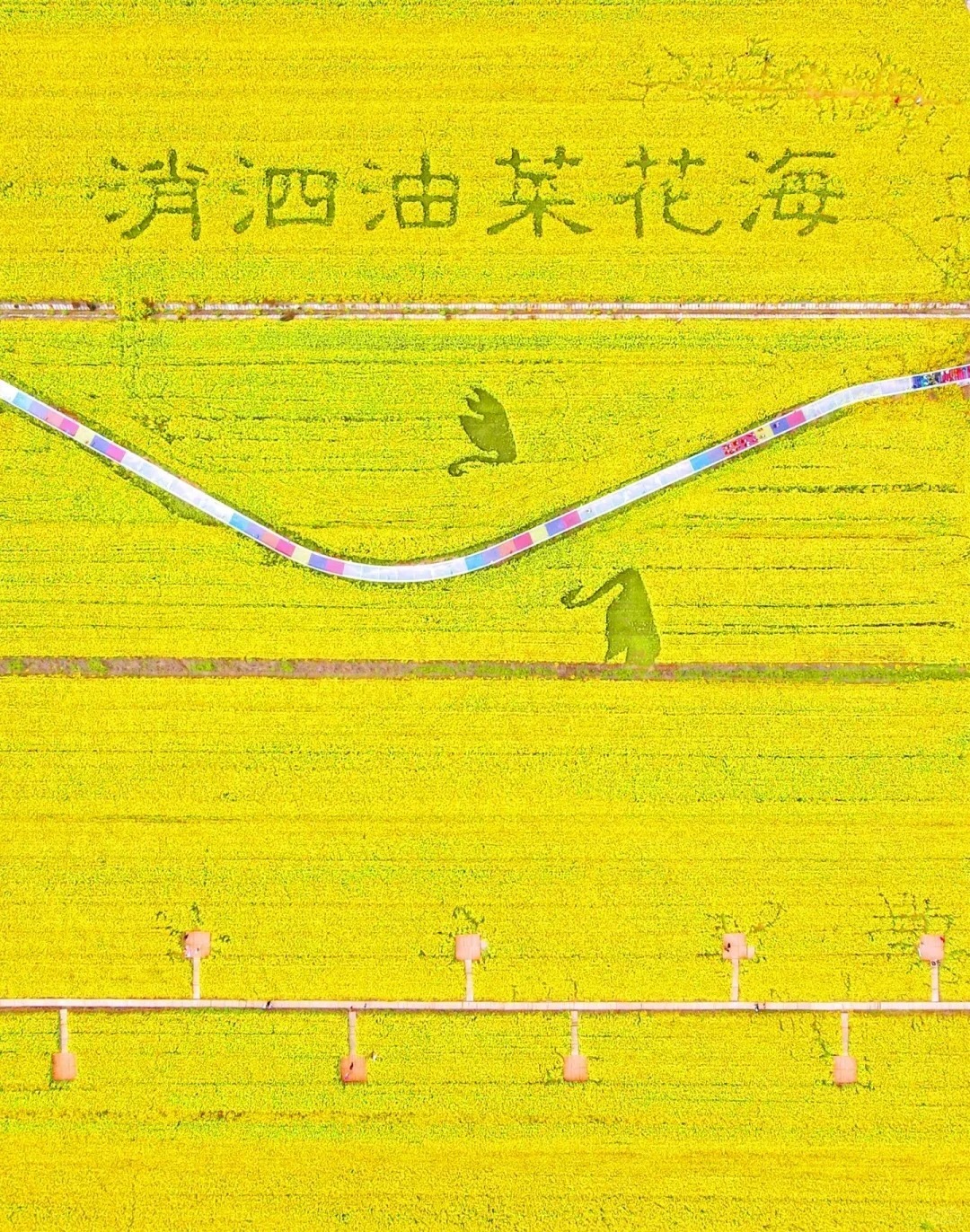 1769753536970_39D3bD6Z