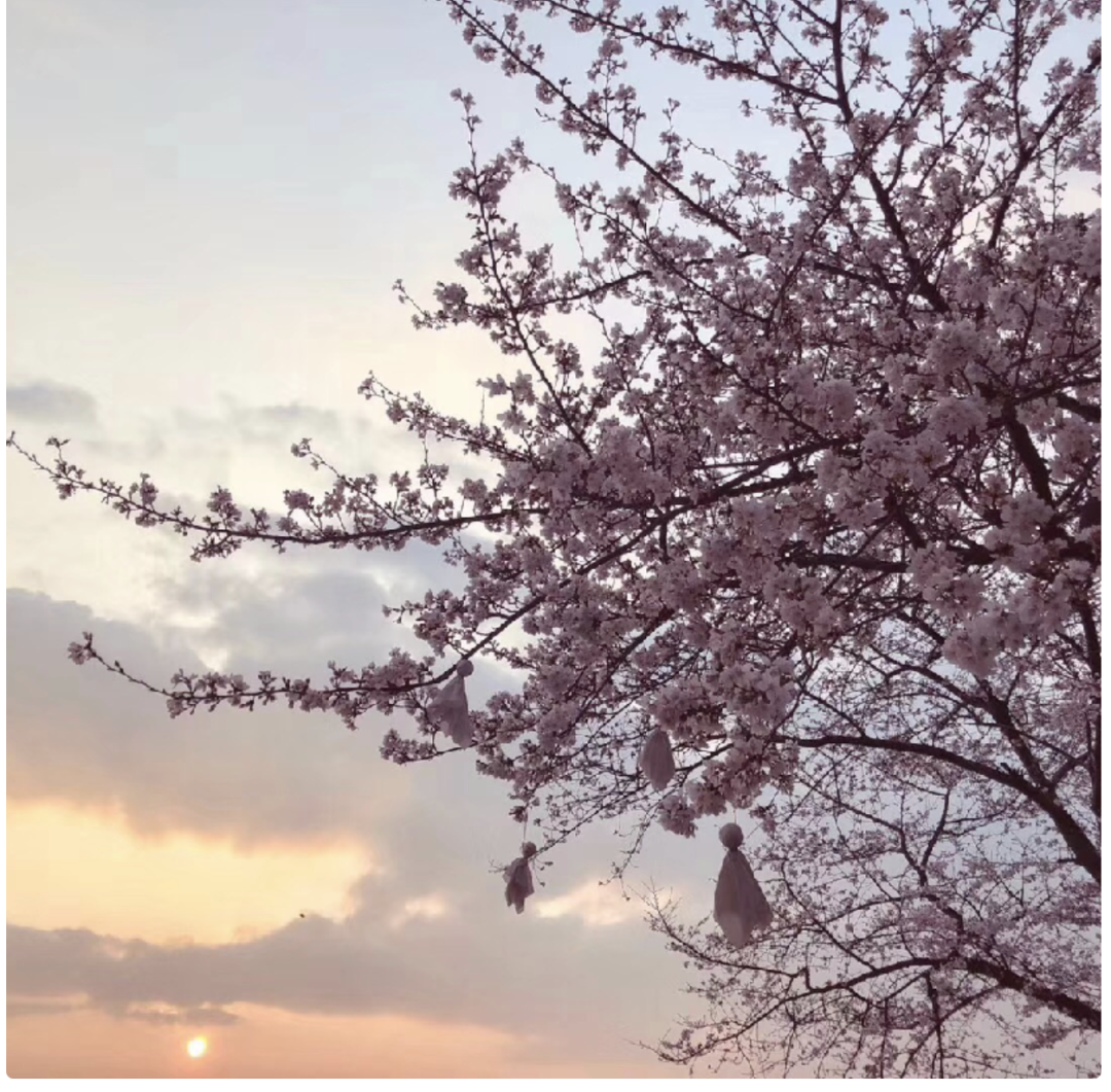 1769753536970_41RrziJr