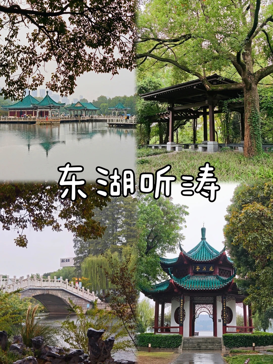 1769753536970_426jwGGT