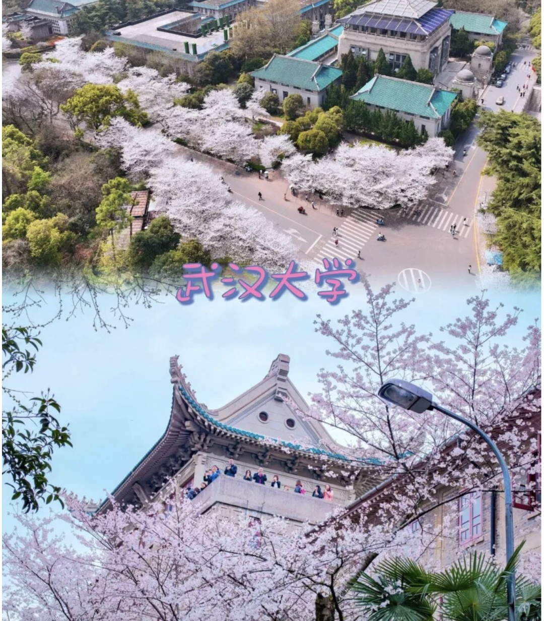 1769753536971_33e6b7sN