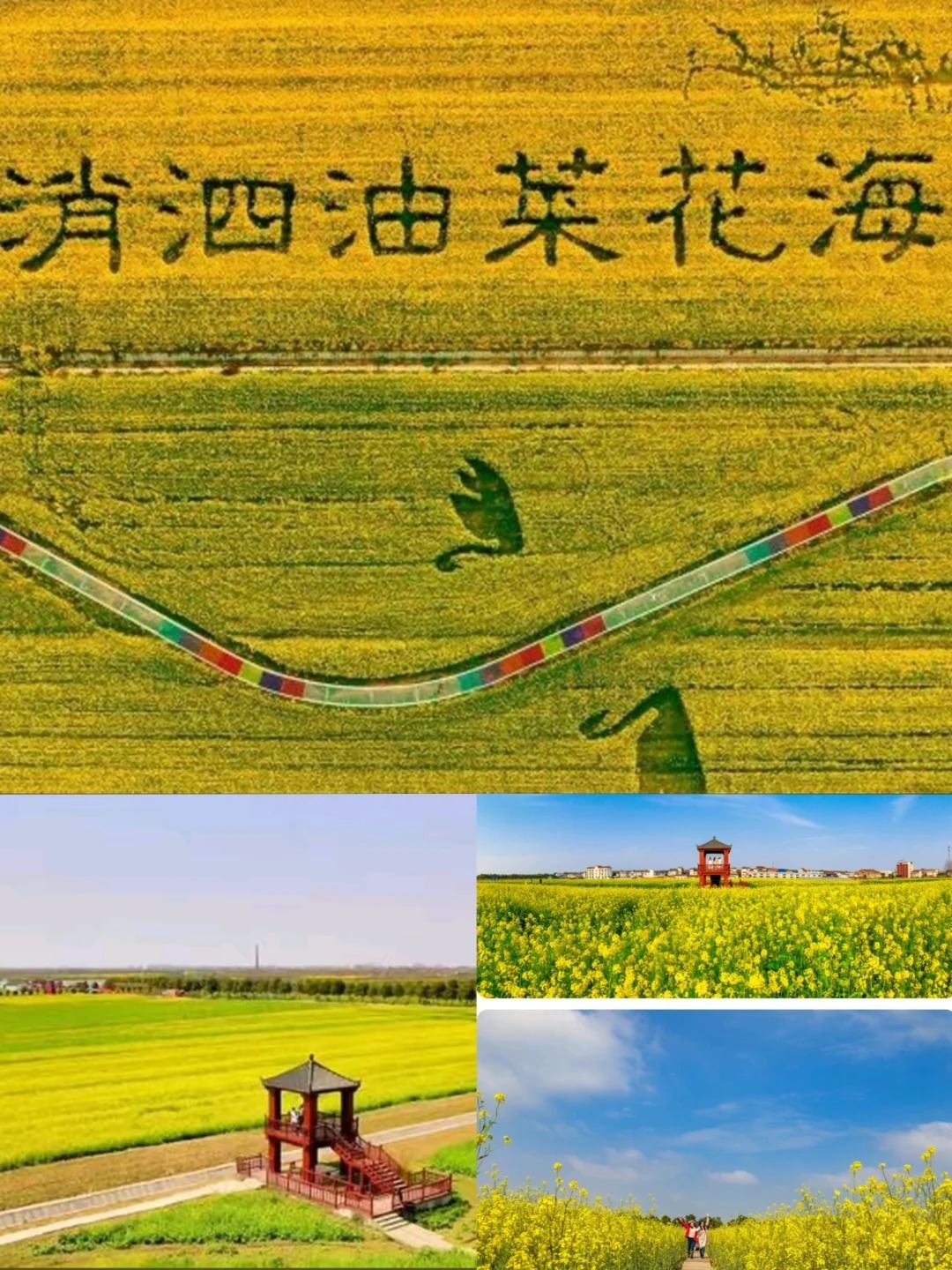 1769753536971_38PbJzYR