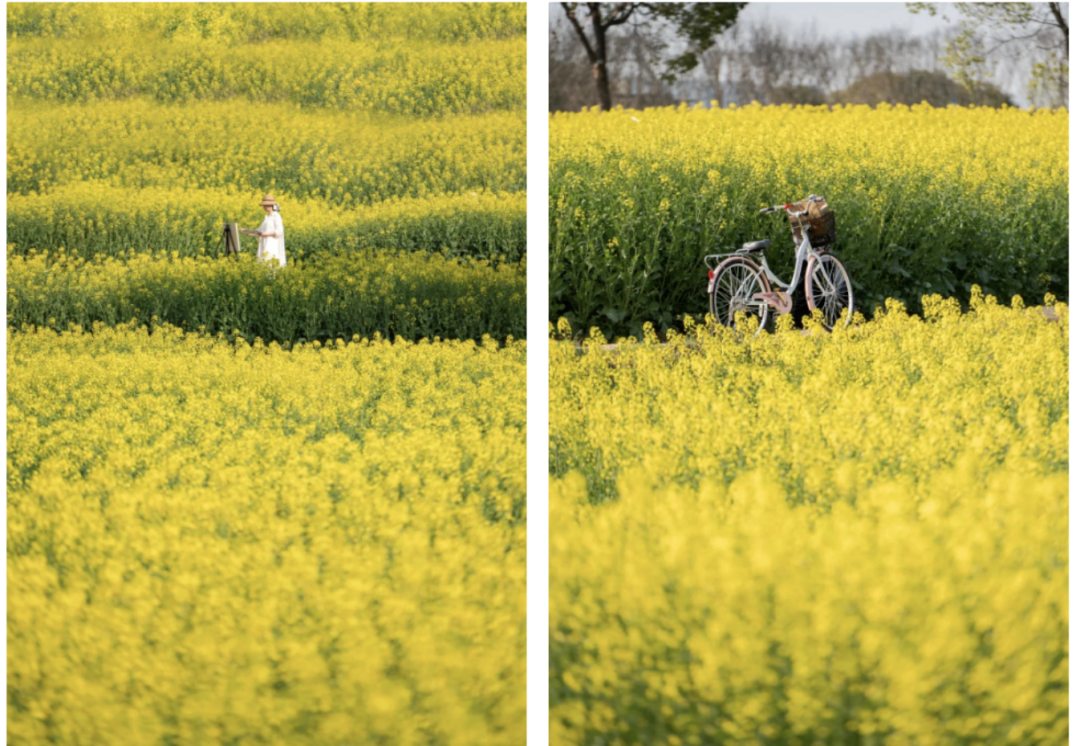 1769753536972_303Fs8hS