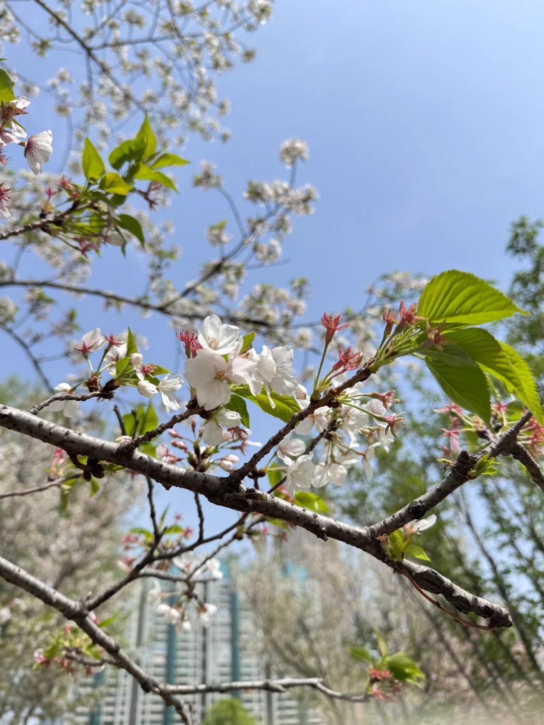 1769753536977_15S2wNhc