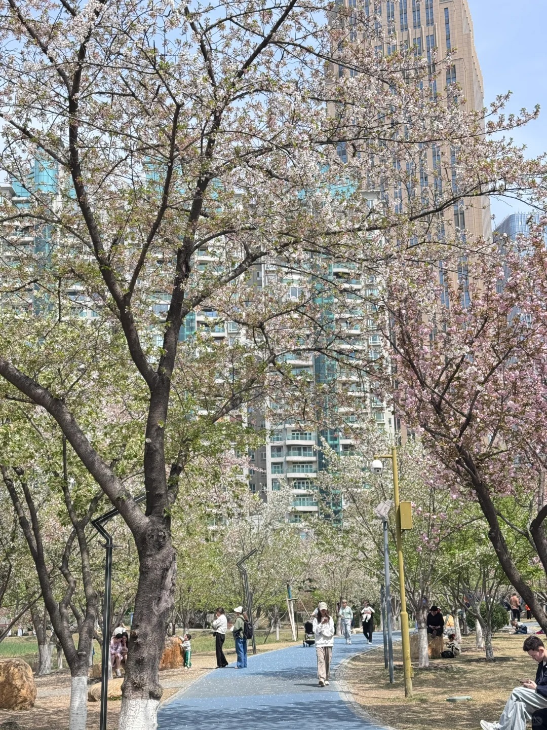 1769753536977_16cXrwRW