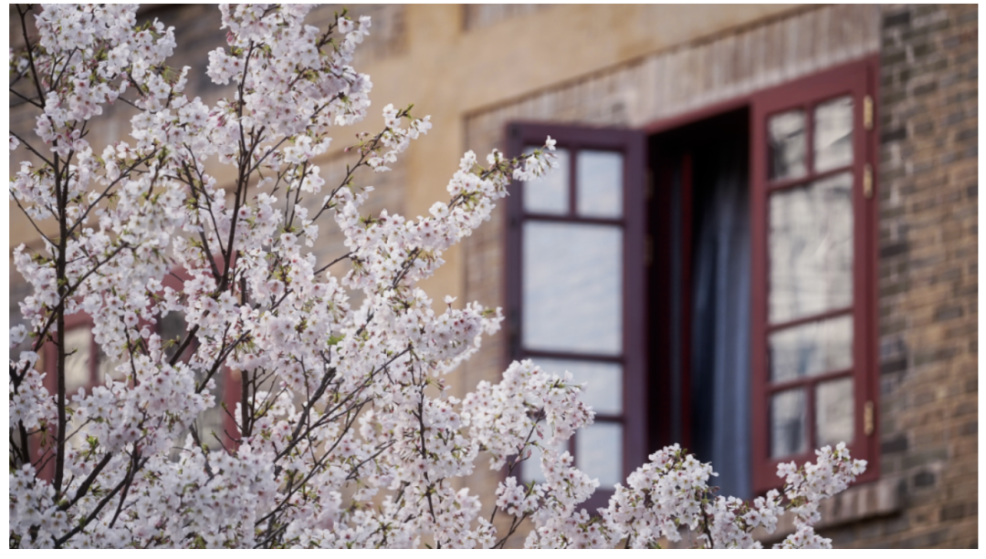 1769753536977_17bi7kaz