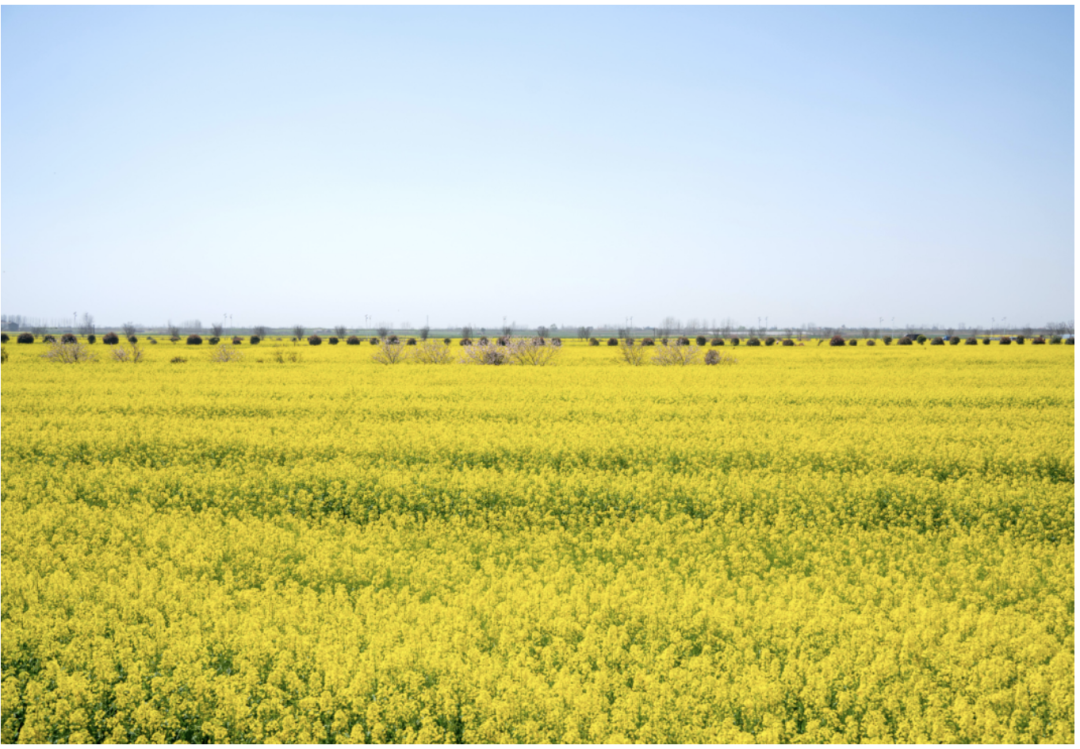 1769753536977_18wTcQRC