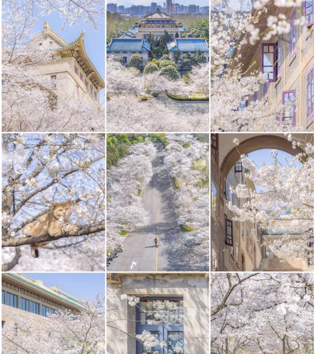 1769753536978_11NiSBGR