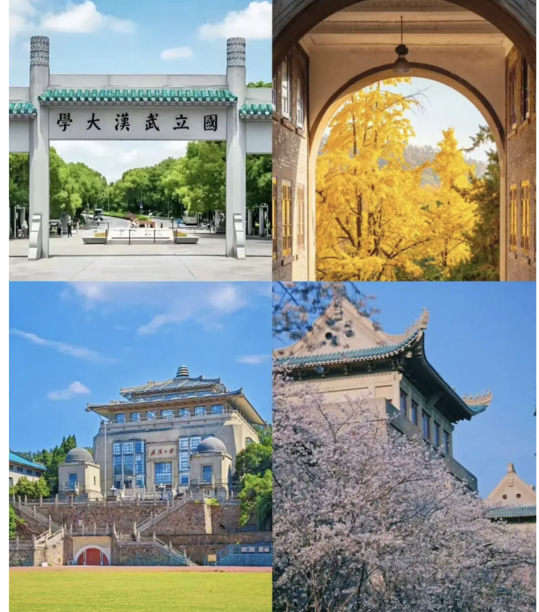 1769753536978_14DyPWK5