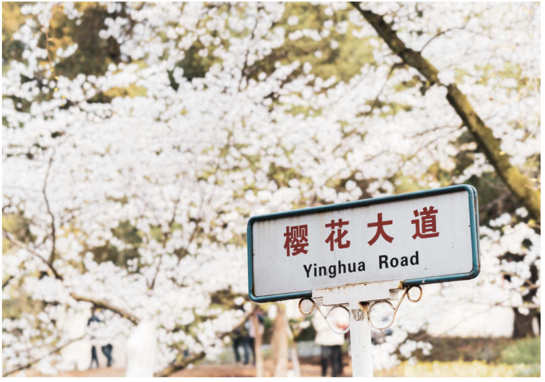 1769753536979_6WyCNmx