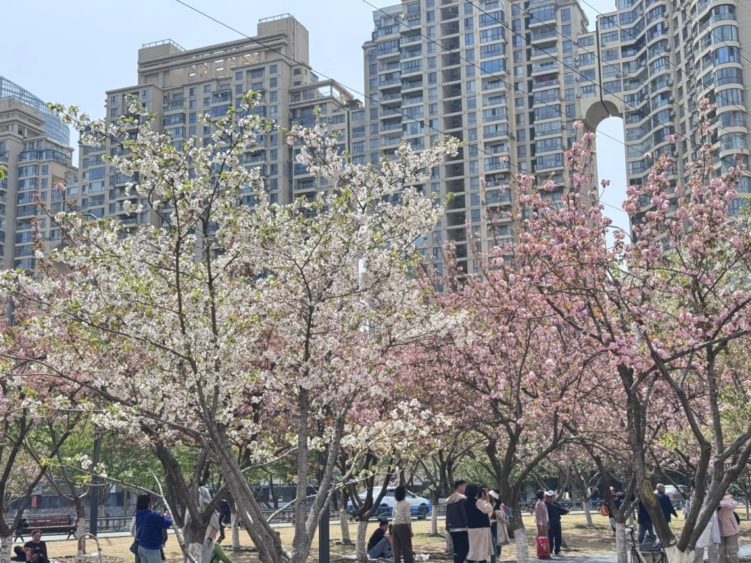 1769753536979_7sKyMWH