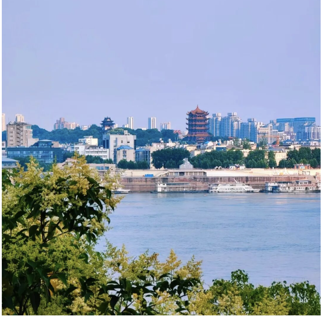 1769753536979_8c8R8ZM