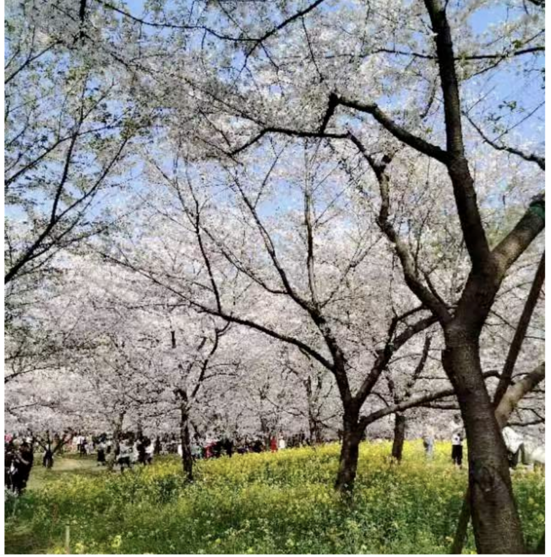 1769753536980_2AQBkdw