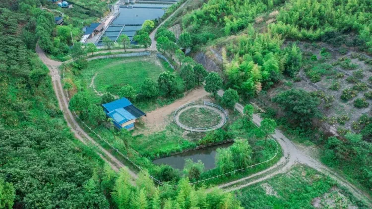 1778465e945302563996e7cd7a6bccd0-sz_204096