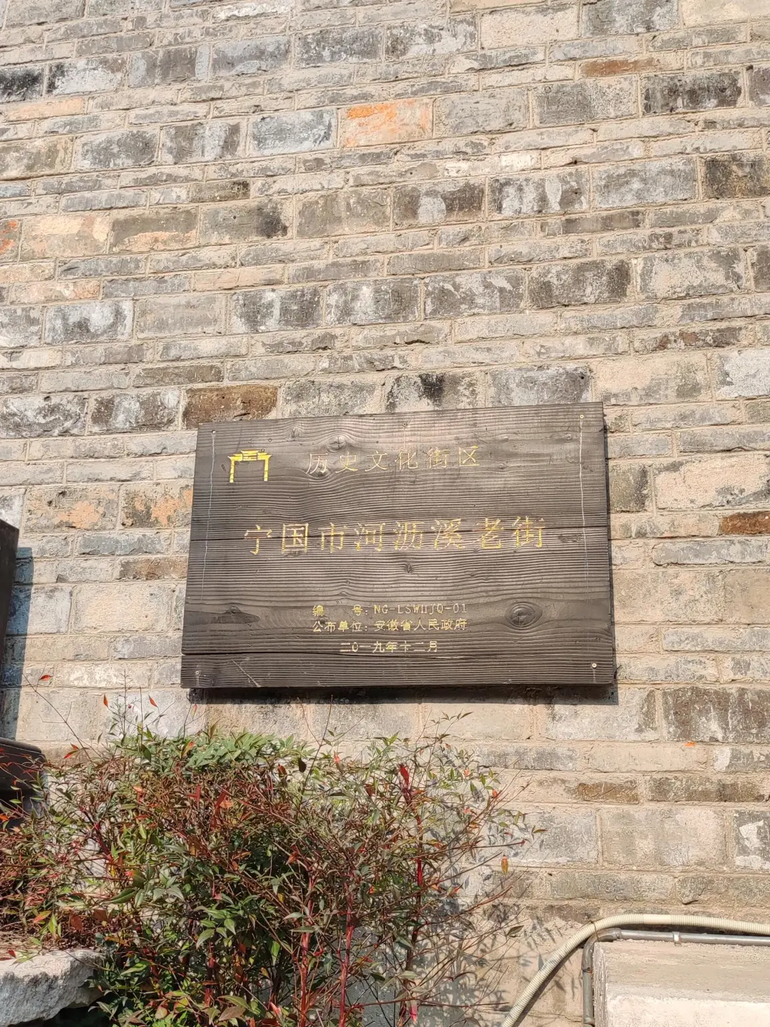 177d4e24319a07868d4f8903a8fc2303-sz_1161468