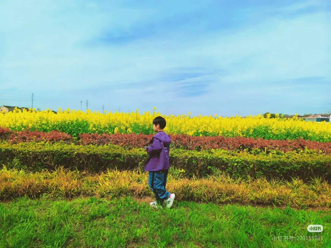 17a67ff92d03763ba5ff24c371f43220-sz_1065961