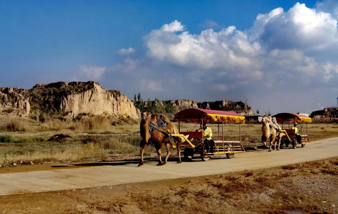 17f0e2cd38739e855cdd0bac4404fec8-sz_405301 17f0e2cd38739e855cdd0bac4404fec8-sz_405301