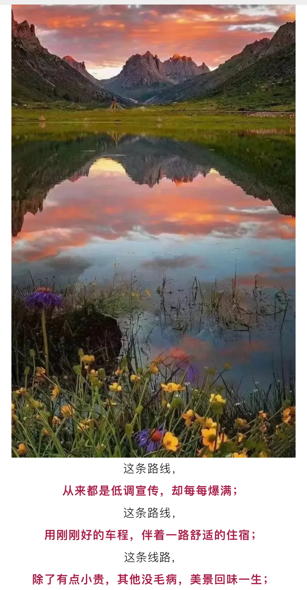 196ed956281669a60246e88d351ece85-sz_4376873