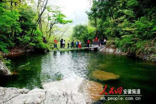 1990a90623d6631e0bbb3718a117473b-sz_68836