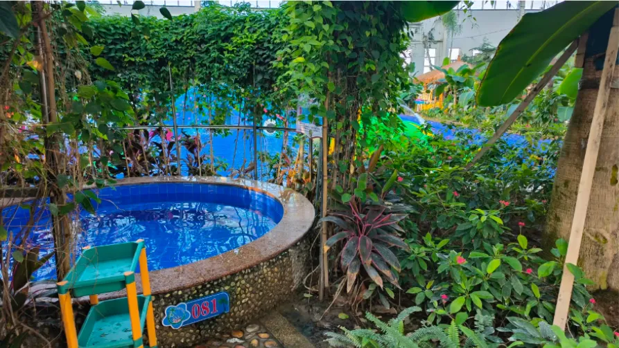 1a14e68d057afad07005a6d613953c0a-sz_909928