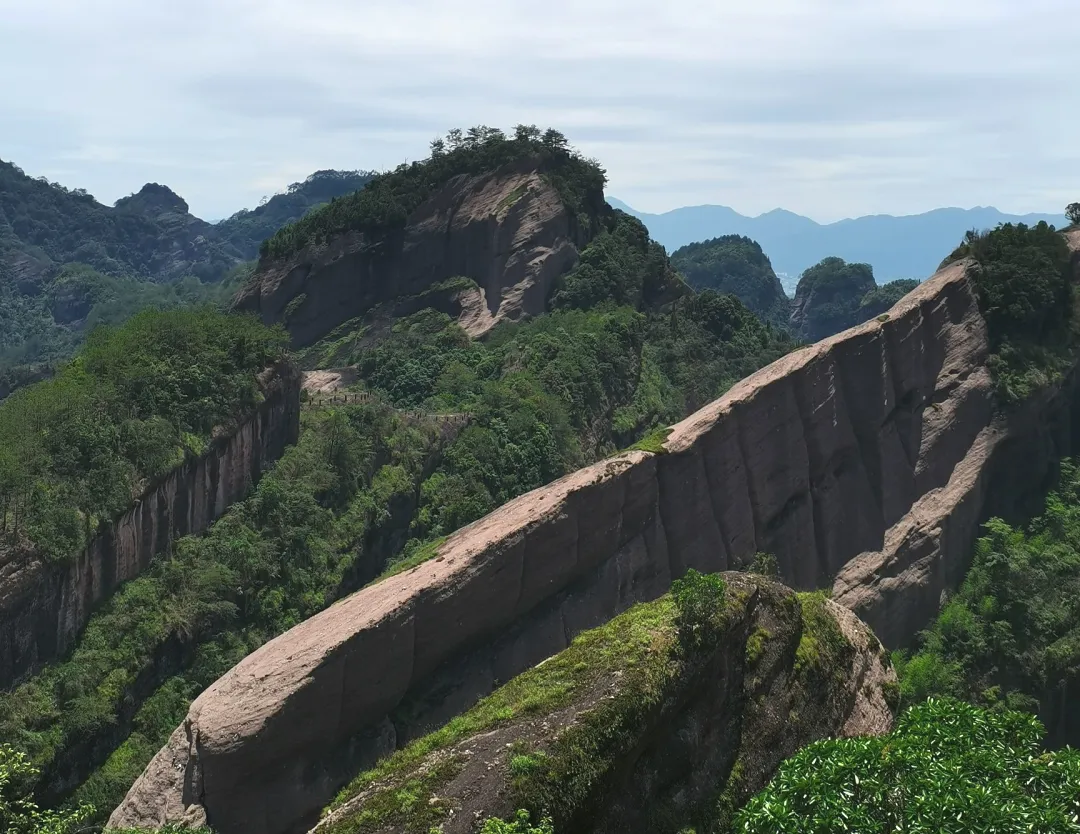 1a2421b125e09fcc340ae7dbdde37773-sz_614699