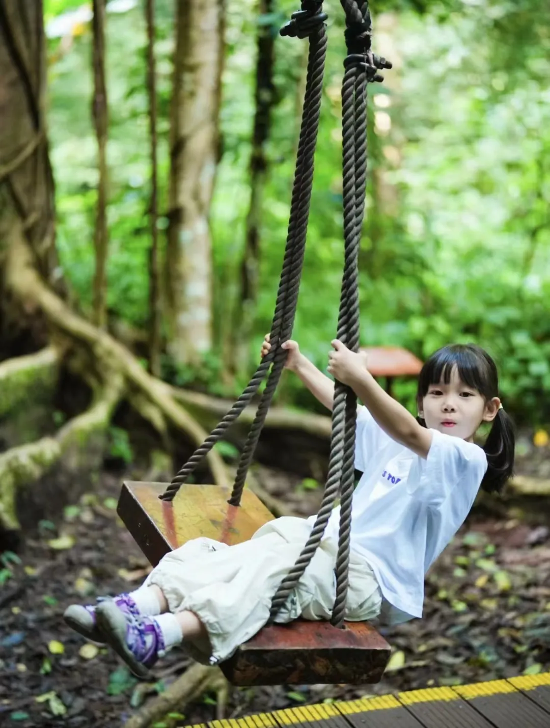 1a2ca570adc9922f64e664fae08f675f-sz_328086