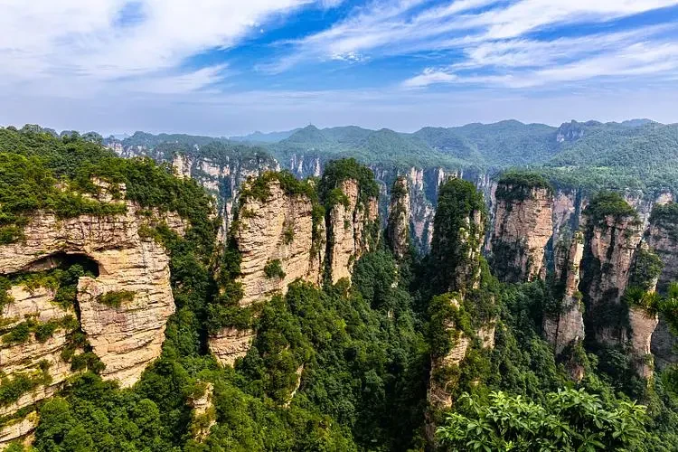 1aacf913319c53ab143acd2b075e984a-sz_114482