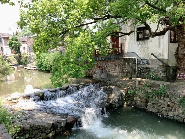 1b0210bf69098d9af36068b925f2fff7-sz_4243906