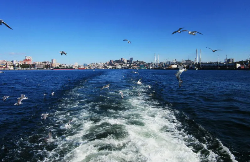 1b1e1cd7f0884ec431306975119e0b21-sz_974477 1b1e1cd7f0884ec431306975119e0b21-sz_974477