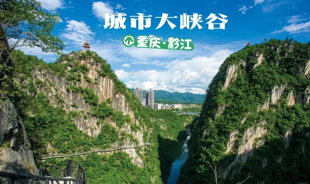 1b346dd8c24d1b67b369b7fbc2a9ab71-sz_401695