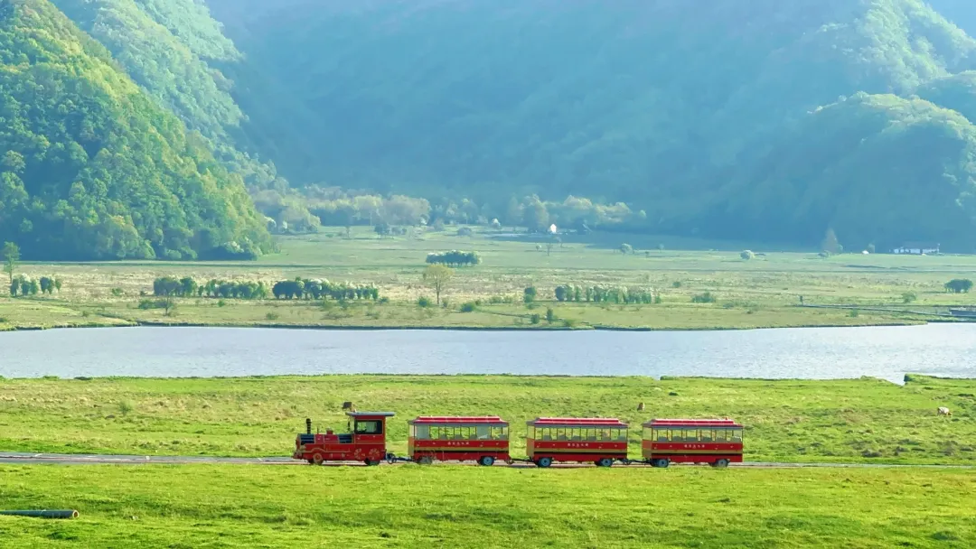 1b52ba219062e90b8c6c80e24be12a3a-sz_3511043