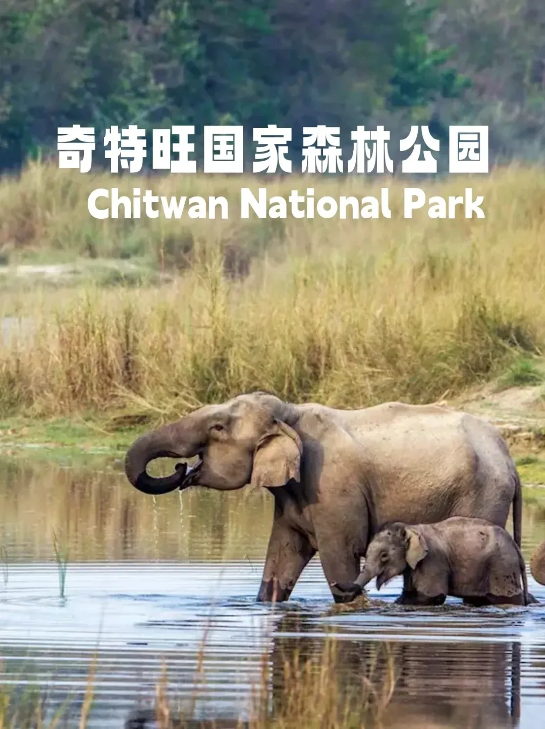 1bcc5505a6da4d5f44ab54ea3cb88f34-sz_298921-1