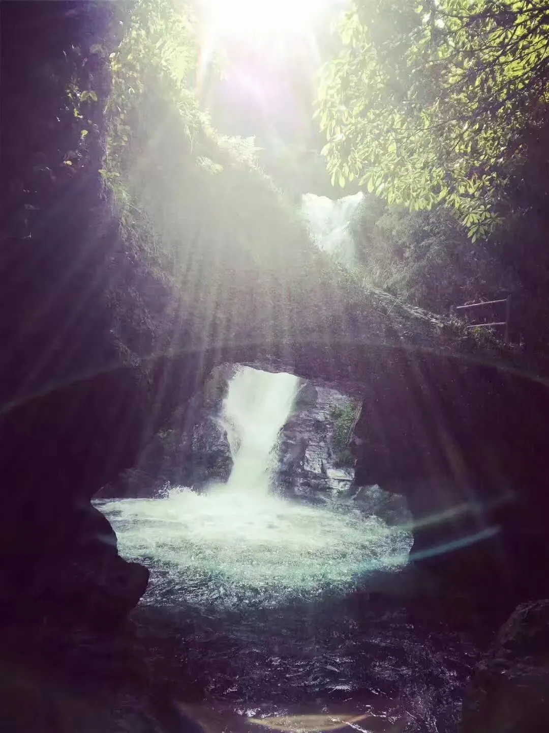 1d229095c895f2ff63f962479d086288-sz_1828246