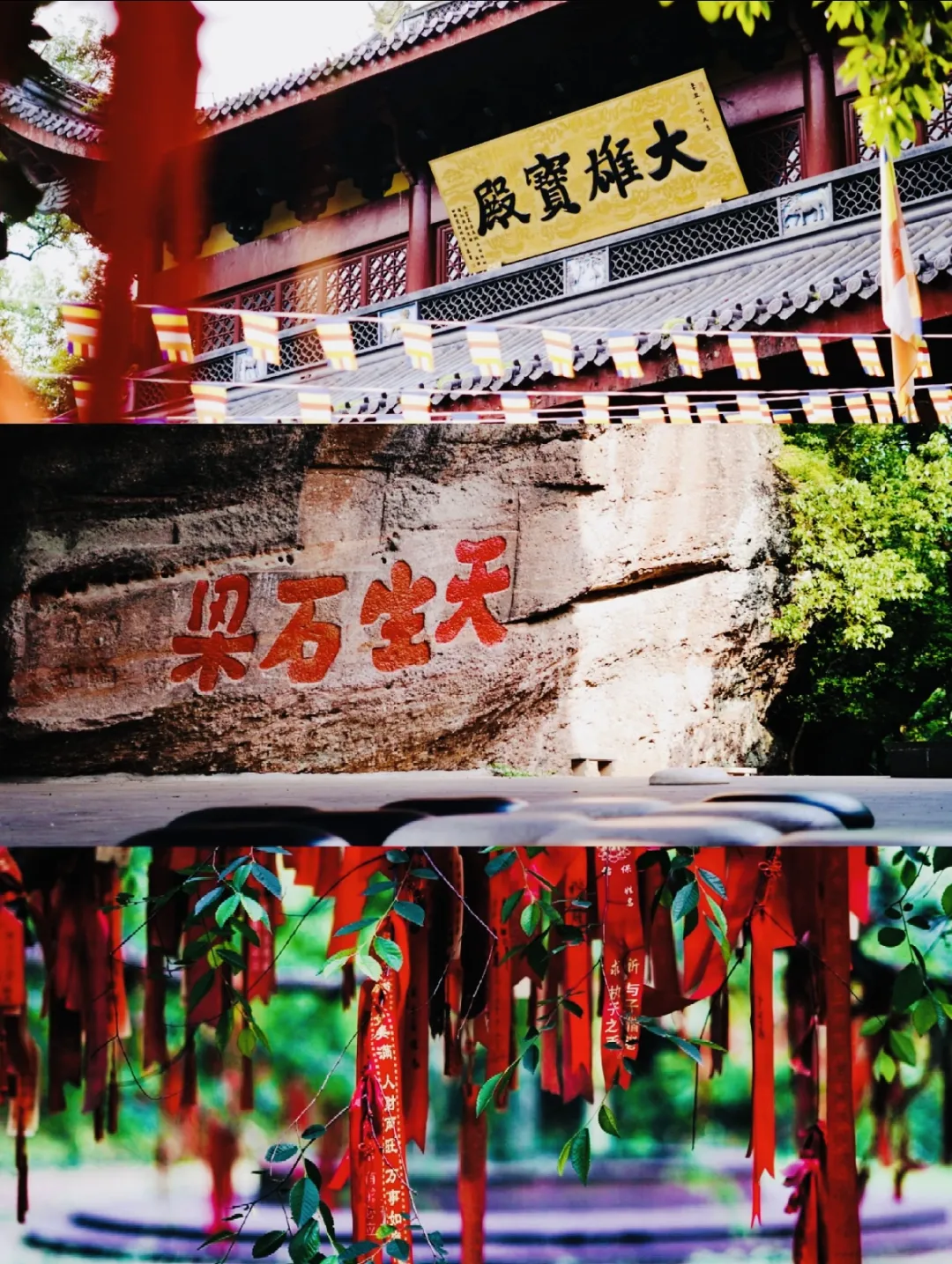 1d5bdc1a69f45470a9703f3924ab981c-sz_823610